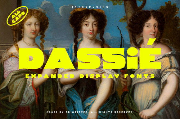 Make Your Brand Unforgettable with the Dassie Display Font
